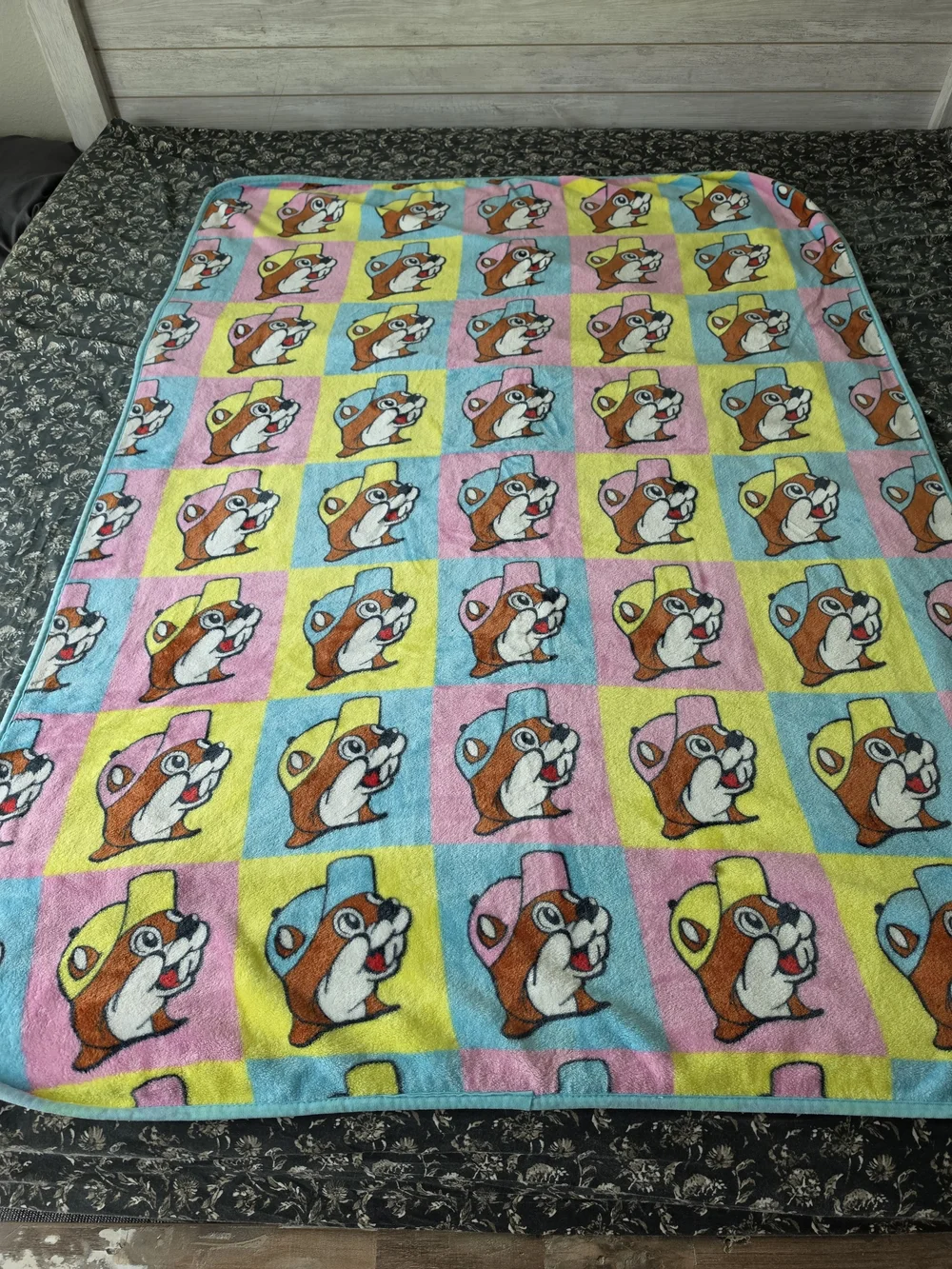 Buc-ee's Plush Throw Blanket - Picture 1 of 2
